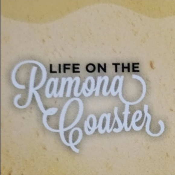 Life on the Ramona Coaster By Ramona Singer - Picture 4 of 4